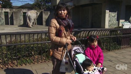 Meet Hanako, Japan's oldest elephant