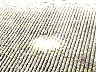 UFO & Aliens ; the Physical Evidence