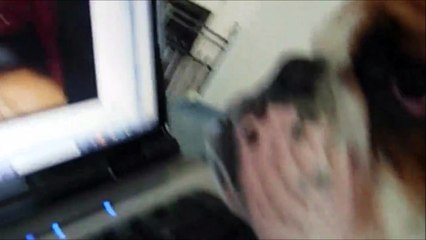 Ce chien n'a pas compris le principe de Skype... Ahaha