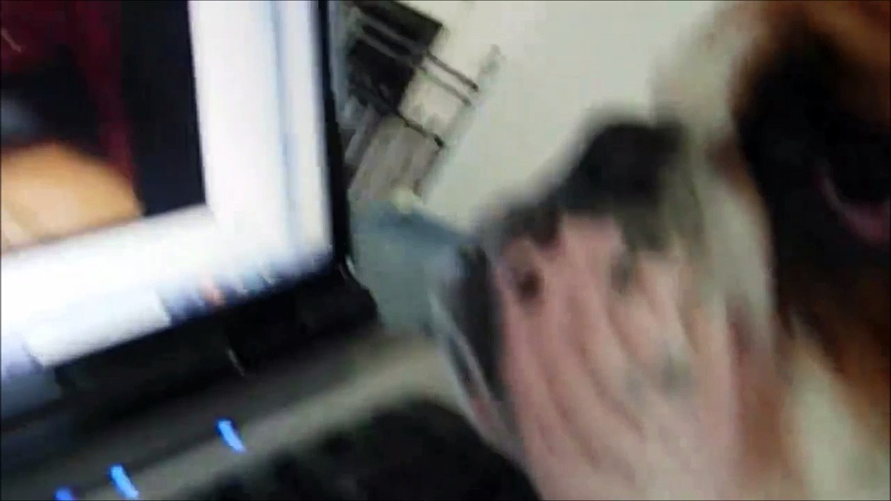 Ce chien n'a pas compris le principe de Skype... Ahaha