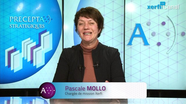Pascale Mollo, Xerfi Canal Les loisirs créatifs ont le vent en poupe