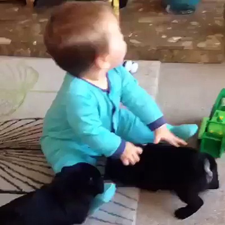 Baby playing with puppies