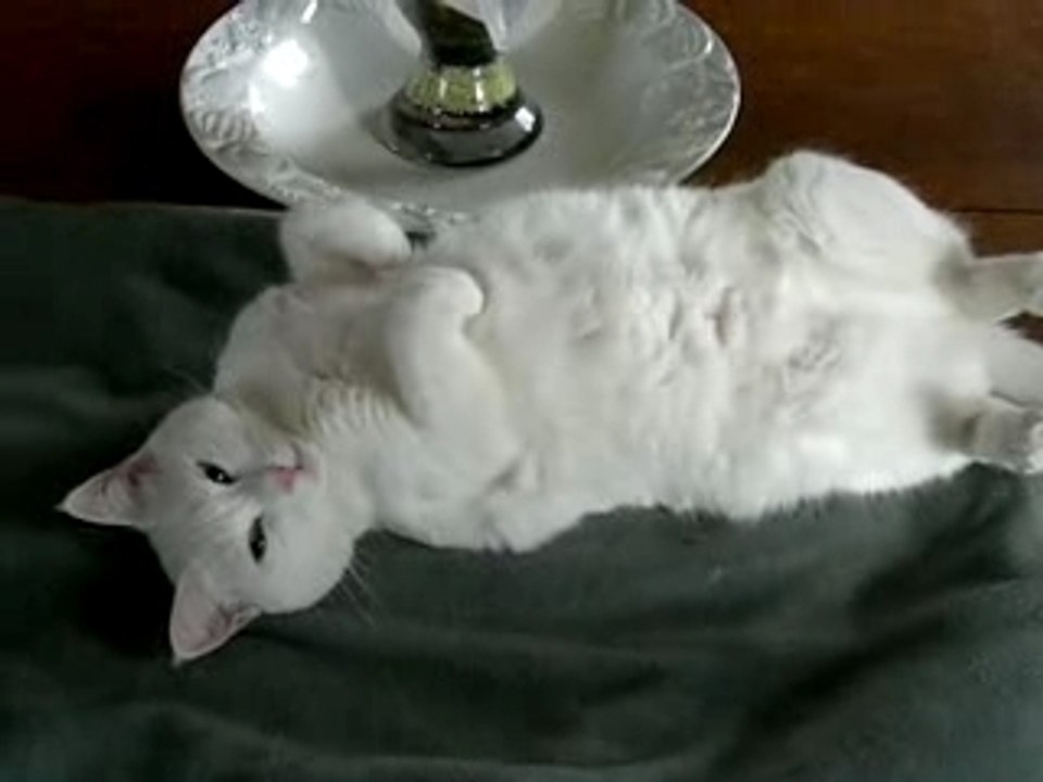 La vie est dure pour Missoui