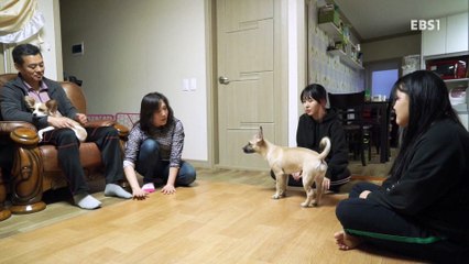 160323 세나개 동우 컷