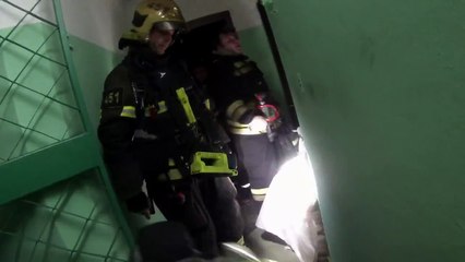 Un pompier sauve la vie d'un chat grâce à son masque à oxygène