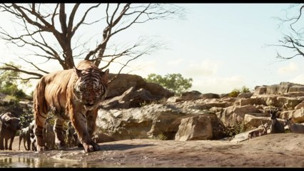 Intro to Shere Khan Clip - Disneys The Jungle Book