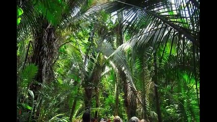 Belize- Top 10 Tourist Attractions - Belize Travel Video