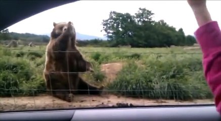 Monthly Wins - WIN compilation June 2012