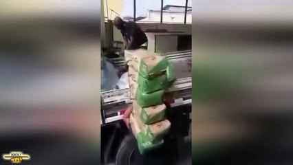 Epic WINS Compilation Nov Dec 2015 MonthlyFails