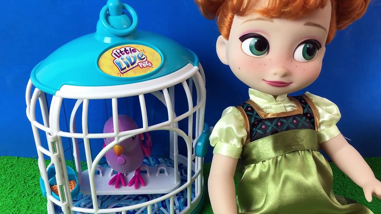 Frozen Anna Presa na Gaiola? Novelinha Frozen Parte 1 Julia Silva