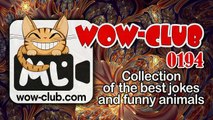 The Best Jokes and Funny Animals Compilation WOW club #0194