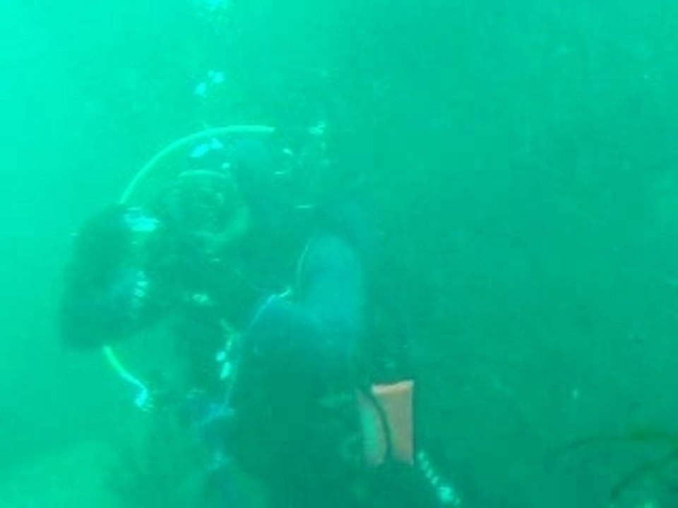 DSCF0552