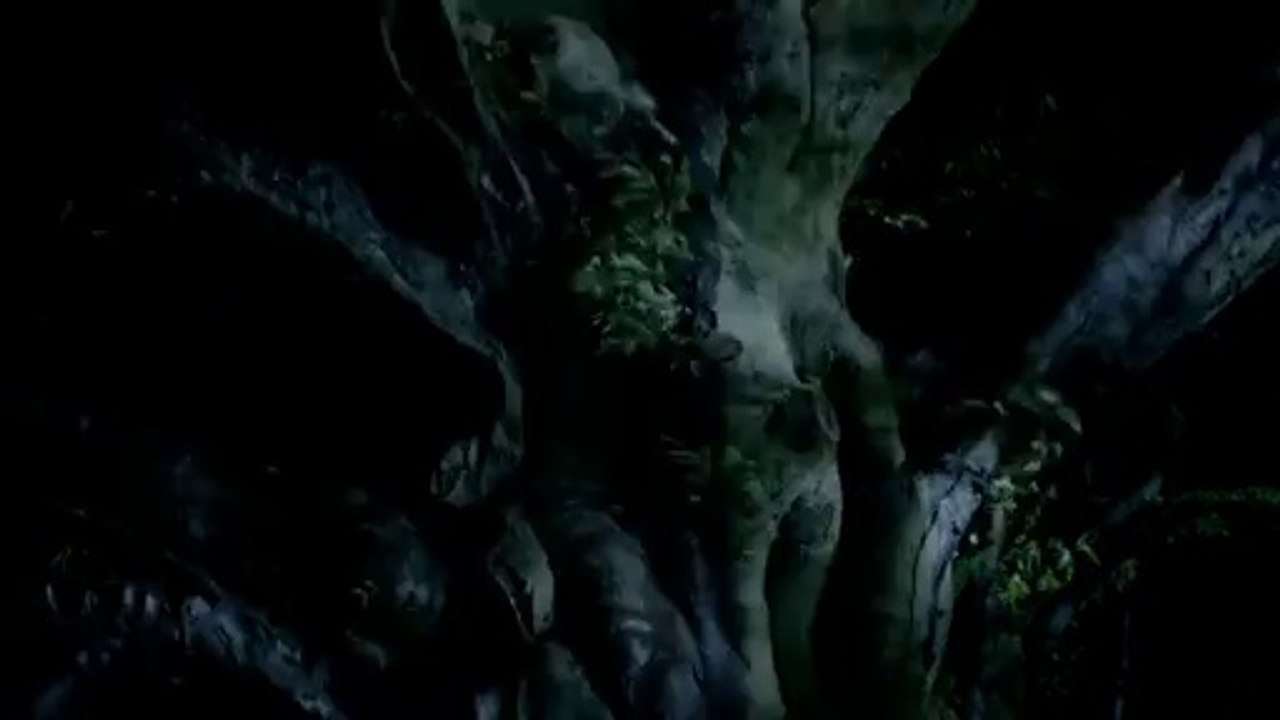 hide