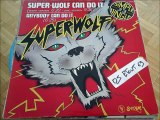 SUPER-WOLF -ANYBODY CAN DO IT(RIP ETCUT)SUGARHILL REC 80