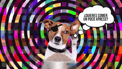 10 Cosas que no sabías de los sueños