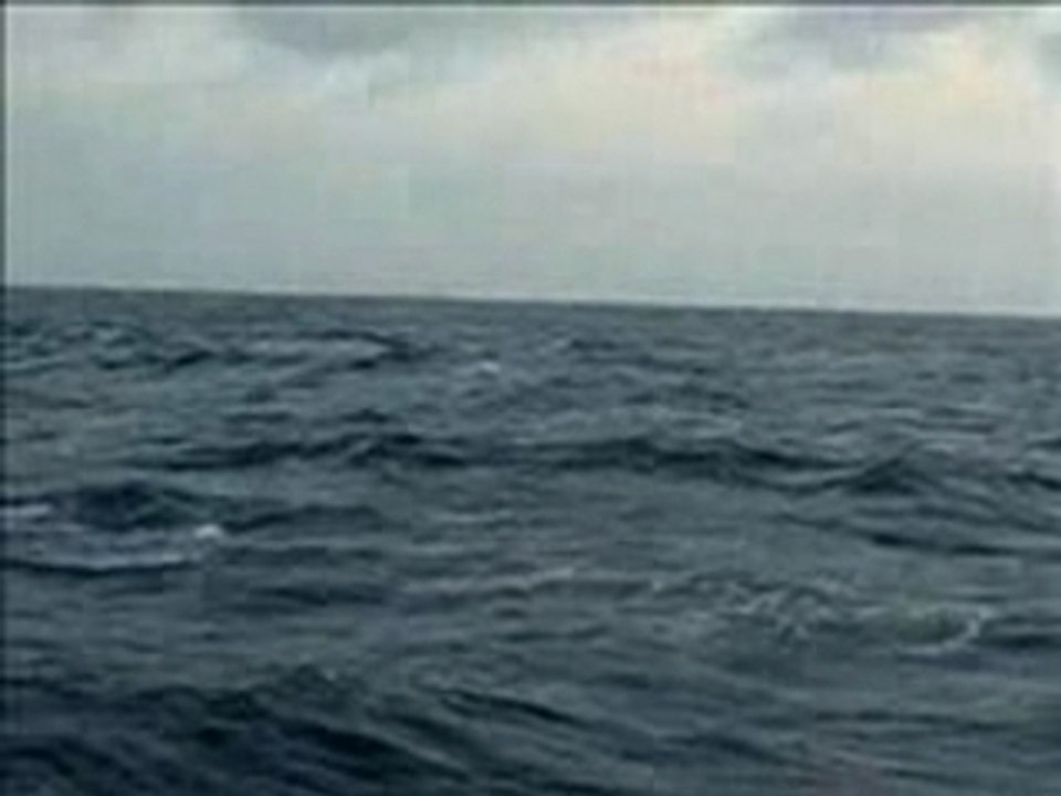 19 Vie Marine