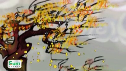 Khoảnh khắc kỳ diệu | Chim di cư | Full HD