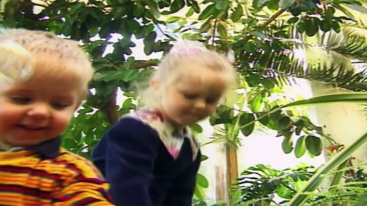 Teletubbies: Bubbles (Russia) - Full Episode