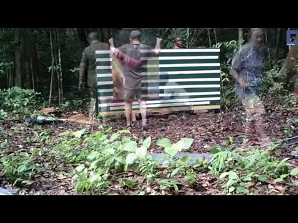 Funny Animals - A Funny Animal Videos Compilation 2015