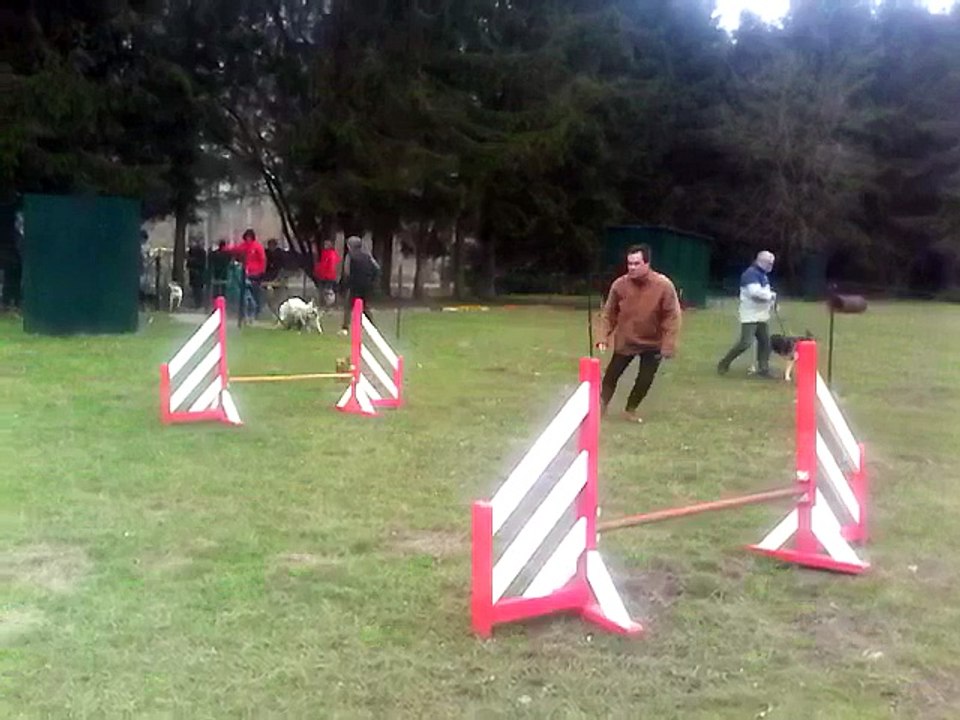 entrainement agility