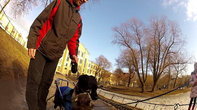 BOGOR https//vk.com/bogorka