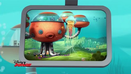 Octonauts - La minute sous-marine : La méduse à crinière de lion