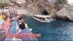 Akdeniz Fokları tehlikede