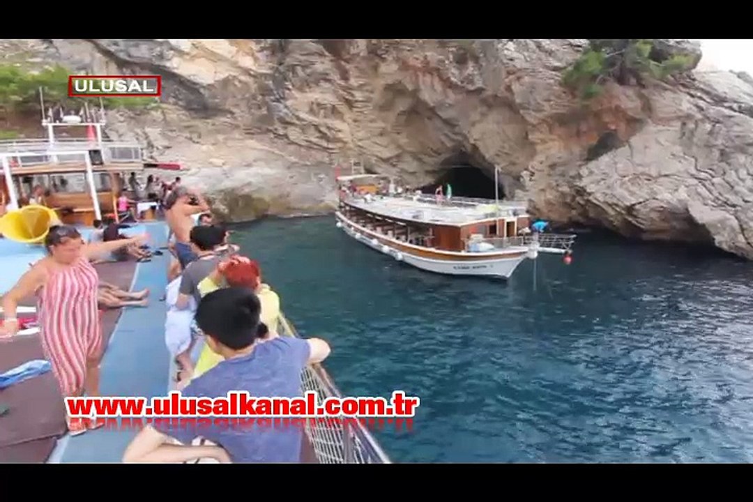 Akdeniz Fokları tehlikede