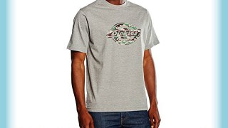 Dickies T-Shirt HS One Colour - Camiseta / Camisa deportivas para hombre color gris talla S