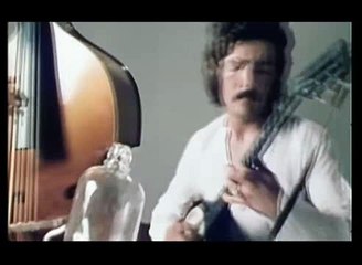 Mungo Jerry   In The Summertime