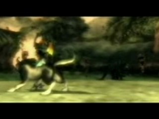 Zelda Twilight Princess