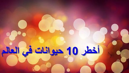أخطر 10 حيوانات في العالم