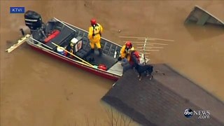 Man, Dog Rescued From Roof of Missouri Home During Historic Flood Video - ABC News