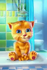 Talking Tom Cat   Punjabi Billi Very Funny Video