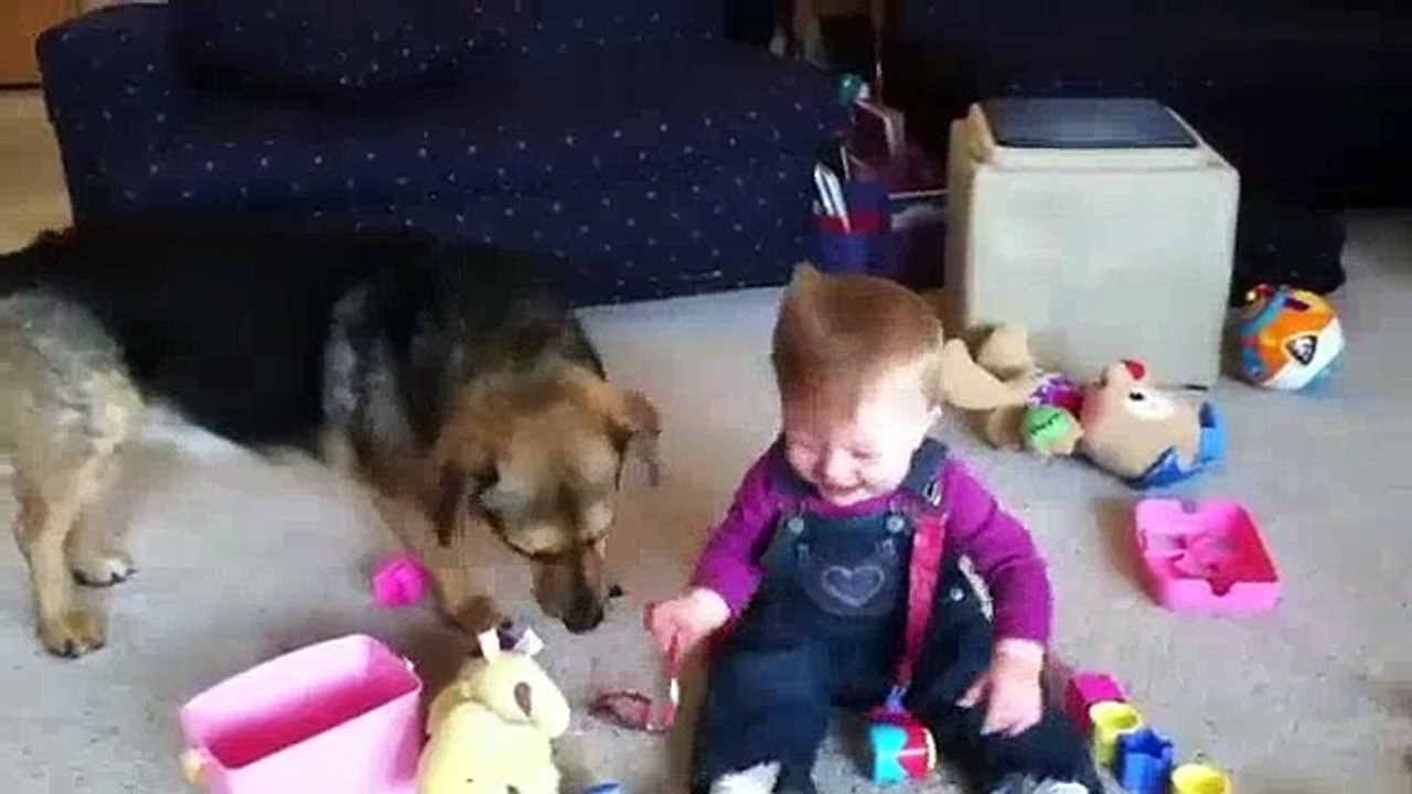 Hystericalally_Laughing_Baby - Funny Videos