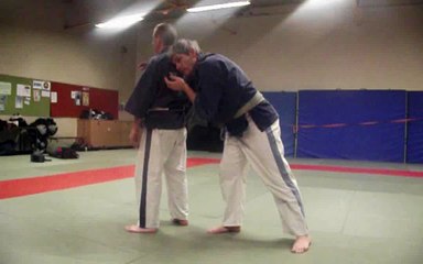 web lecon 9 : Jujutsu Yoseïkan : défenses contre mae geri