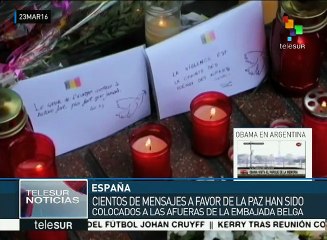 下载视频: Cunde la islamofobia en Europa tras ataques terroristas en Bruselas