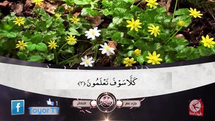 سورة التكاثر - جزء عم - طيور الجنة