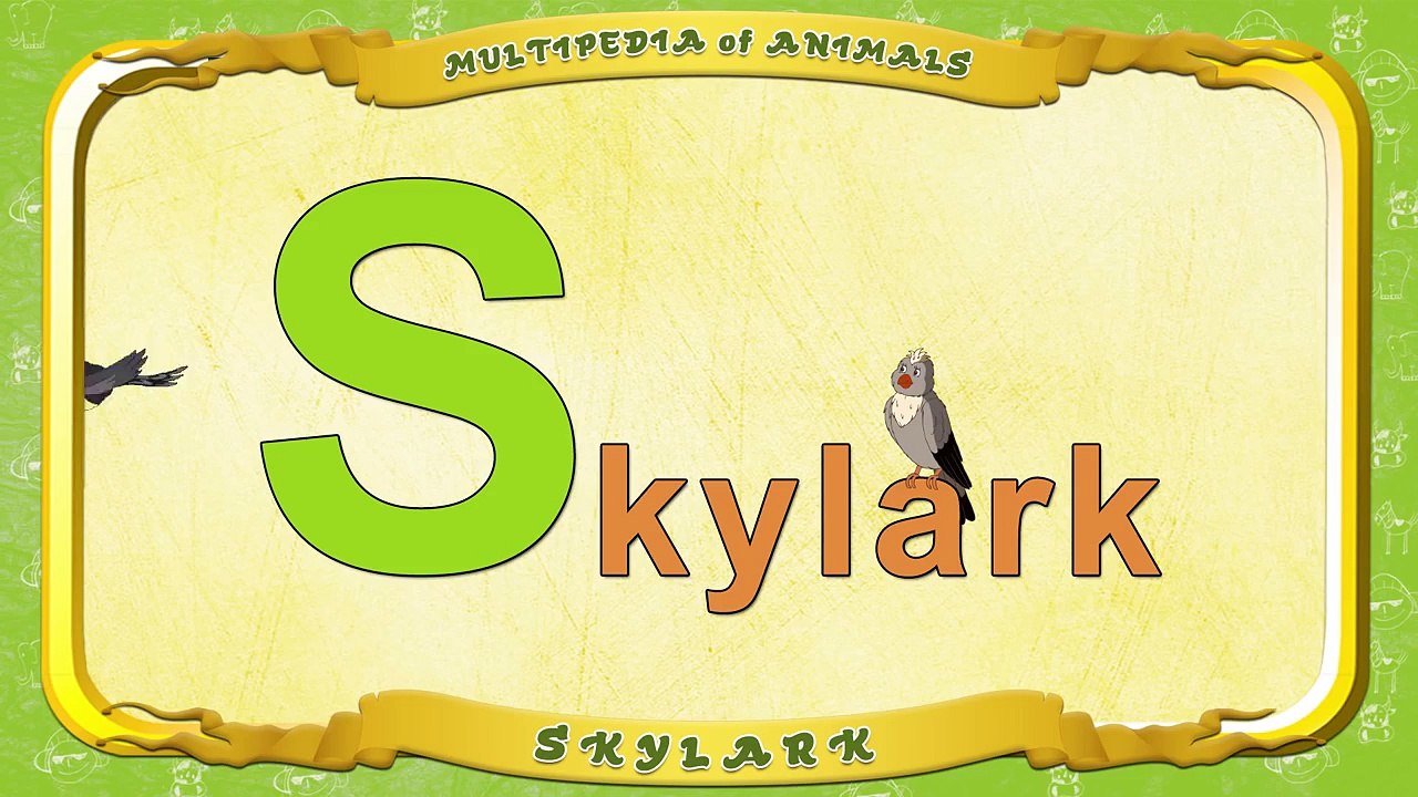 Multipedia of Animals. Letter S Skylark