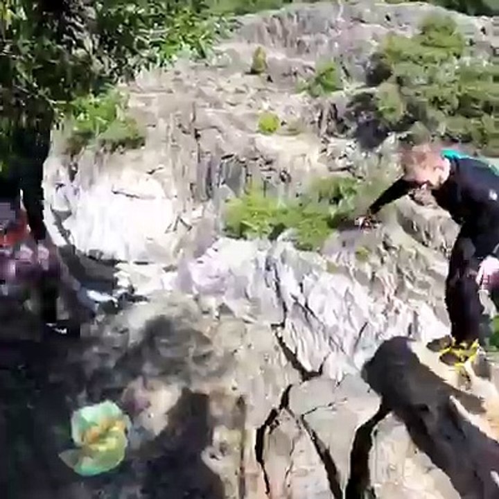 Great Jumping