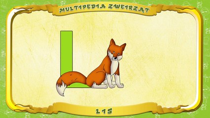 Multipedia Zwierząt. Litera L Lis
