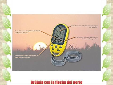 Technoline Ea 3050 - Brújula con Altímetro amarillo / gris