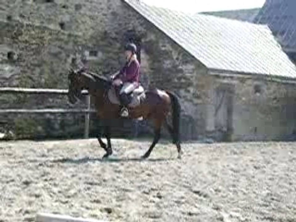 Quétehou monté, avec un autre cheval dans la carrière