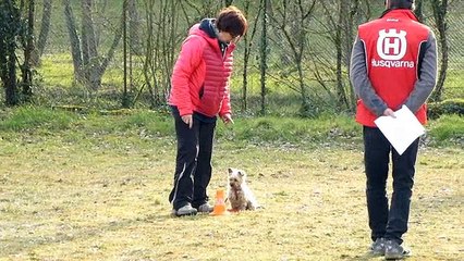 LALOU  CSAU au CCIS 2016