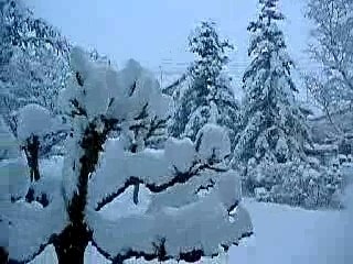 Neige Saint Affrique 28 janvier 2006