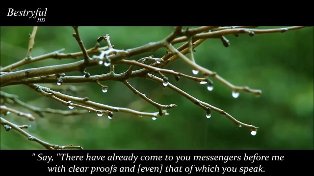 The most heart soothing Quran Recitatoin very beautiful & emotoinal by Mu'ayyid al-Mazen