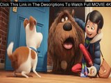 Regarder The Secret Life Of Pets Complet Film En Ligne Gratuit PutlockerMovie