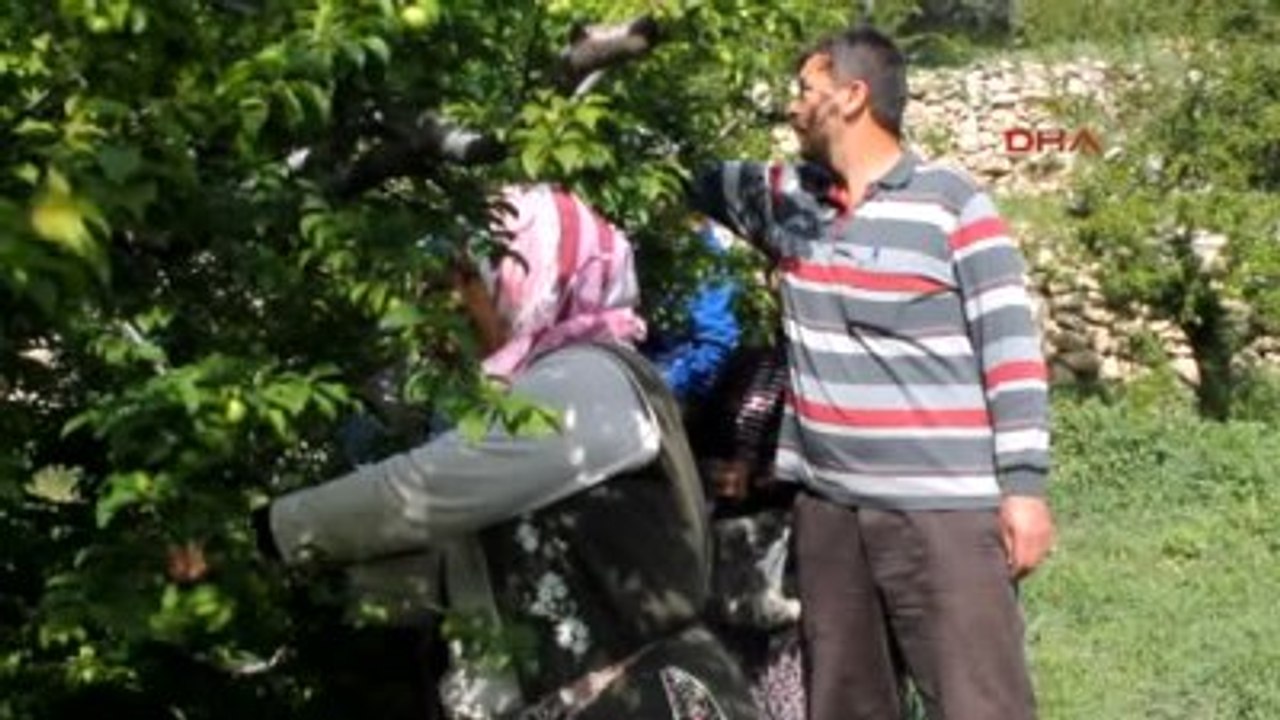 Silifke Yüzde 40'ı Silifke'den