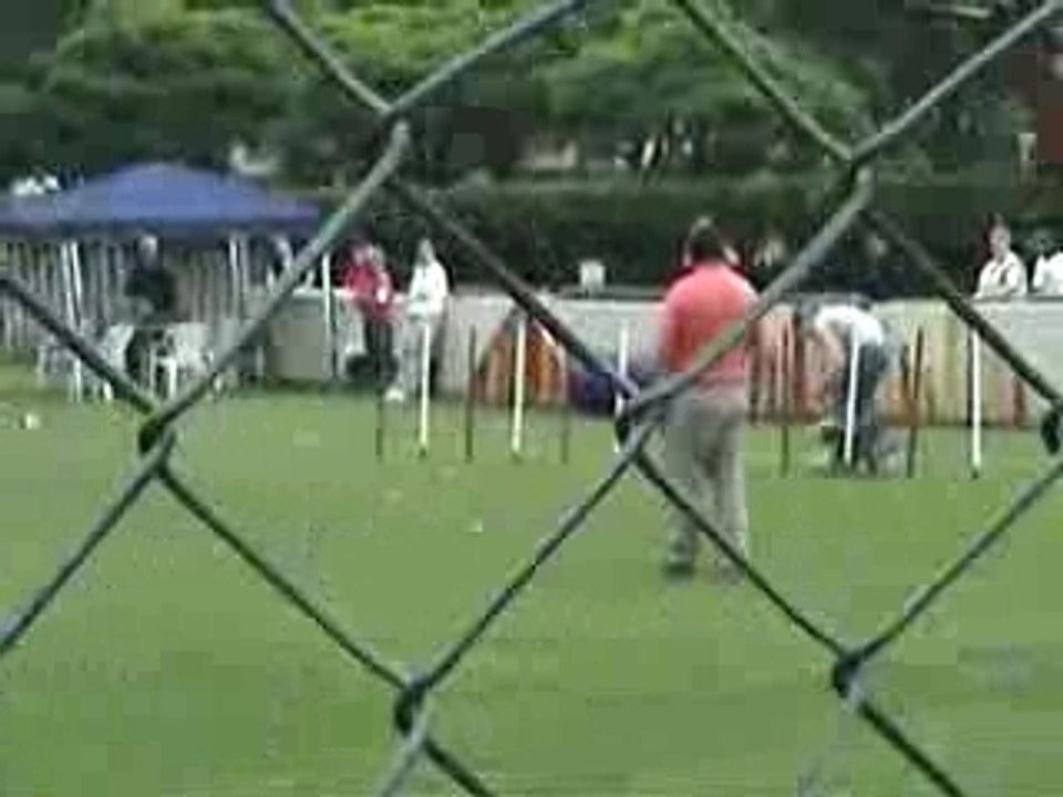 Moustik brevet sotteville 2007 (1ère partie)