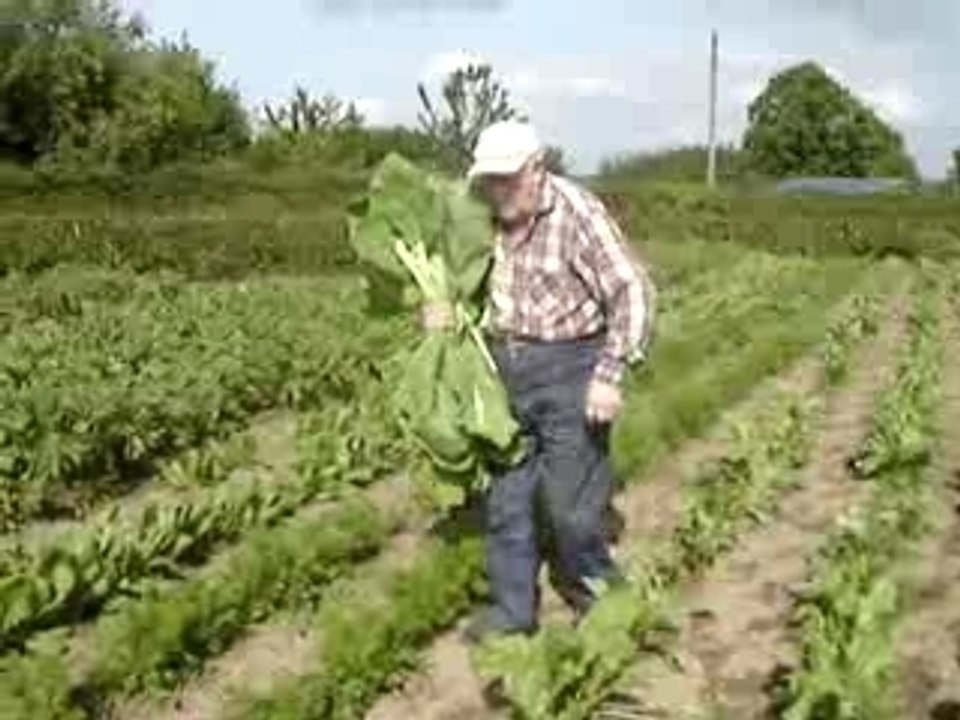 vie a la campagne bretonne